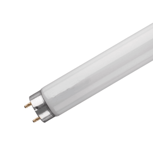 Fluorescent tube light with two gold pins on white background