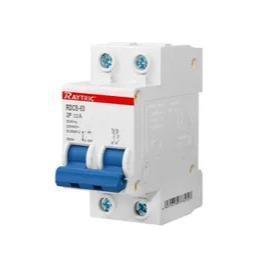 2 Pole 40A Circuit Breaker Din Rail Raytric - Light Market