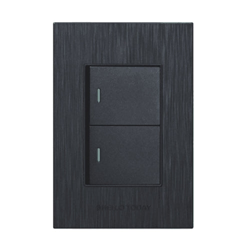 4x2 2 Lever Light Switch Black S6-102/1