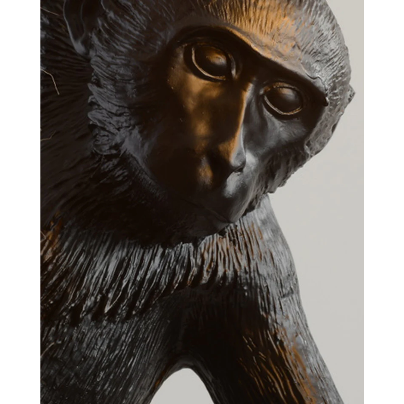 Monkey on Rope Pendant Light Black DRSA6142