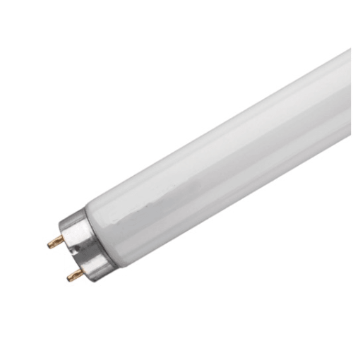 T8 4ft 36w Fluorescent Tube 765 Bing Light