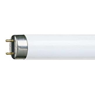 T8 3ft 30w 865 Fluorescent Tube Philips