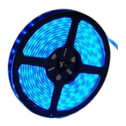 12v 10mm 5050 60 LED Nova 65 Strip Light IP65 5m Roll Blue Bing Light