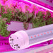 T8 4ft 18w Led Plant Growth Tube Bright Star BULB LED 206 - Light Market