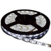 12v 10mm 5050 60 Led Strip Light Ip65 5m Roll 6000k Bing Light - Light Market