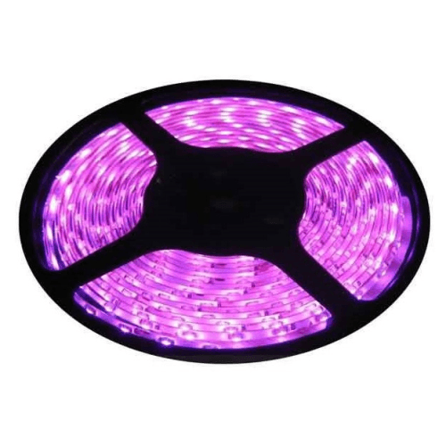 12v 10mm 5050 60 LED Nova 65 Strip Light IP65 5m Roll Pink Bing Light - Light Market