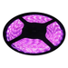 12v 10mm 5050 60 Led Strip Light Ip65 5m Roll Pink Bing Light - Light Market