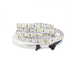 12v 10mm 5050 60 Led Strip Light Ip20 5m Roll Rgbw 6000k Bing Light - Light Market