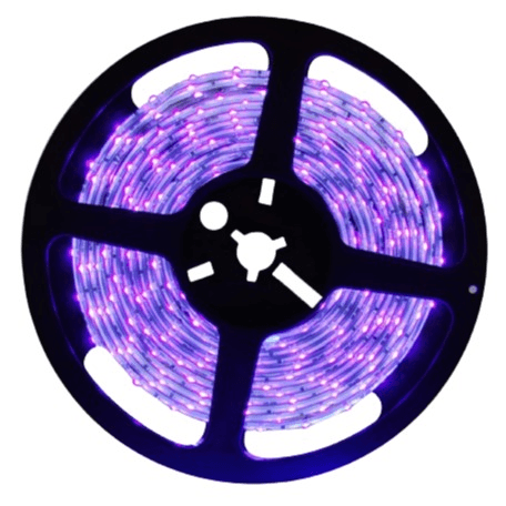 12v 10mm 5050 60 Led Strip Light ip20 5m Roll UV Bing Light - Light Market