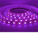 12v 10mm 5050 60 Led Strip Light Ip65 5m Roll Purple Bing Light - Light Market