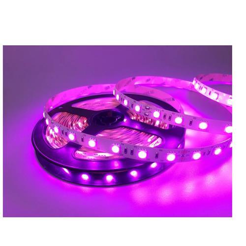 12v 8mm 5050 60 Led Strip Light Budget Range Ip20 5m Roll Purple Dr.Light - Light Market