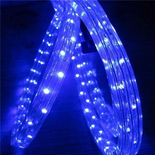 220v 3 Wire Flat Led Rope Light Blue 1m Bing Light - Light Market