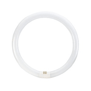 22w T5 Fluorescent Circline Bulb 6000k 4 Pin 465mm Bing Light - Light Market