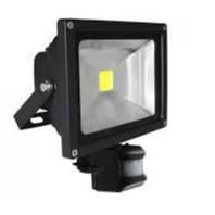 30w 6500k Flood Light With Motion Sensor - Light Market