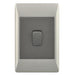 4X2 1 Lever Light Switch Champagne & Charcoal ESW071 Duo Bright Star - Light Market
