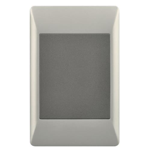 4x2 Switch Blank Cover Champagne & Charcoal ESW080 Duo Bright Star - Light Market