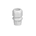 Compression push in PVC gland No.0 - Light Market