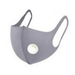 Face Mask (Fashion) - Grey