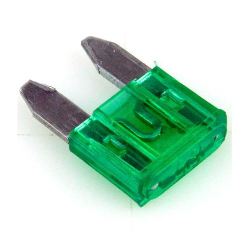 Fuse 30amp - Light Market