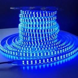 Led Flex 220v 2835 Double Led Blue - Light Market