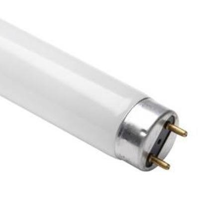 T8 2ft 640 Philips Fluorescent Tube - Light Market