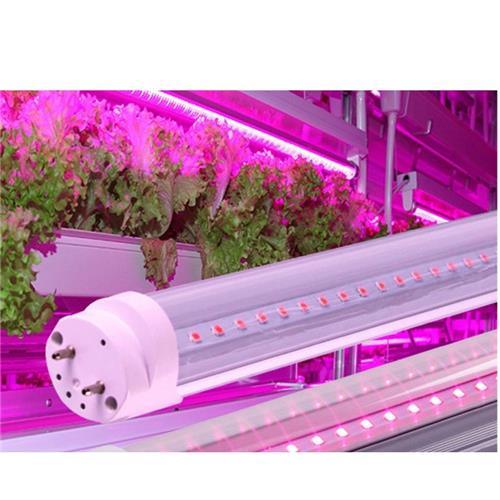 T8 4ft 18w Grow Light Tube - Light Market